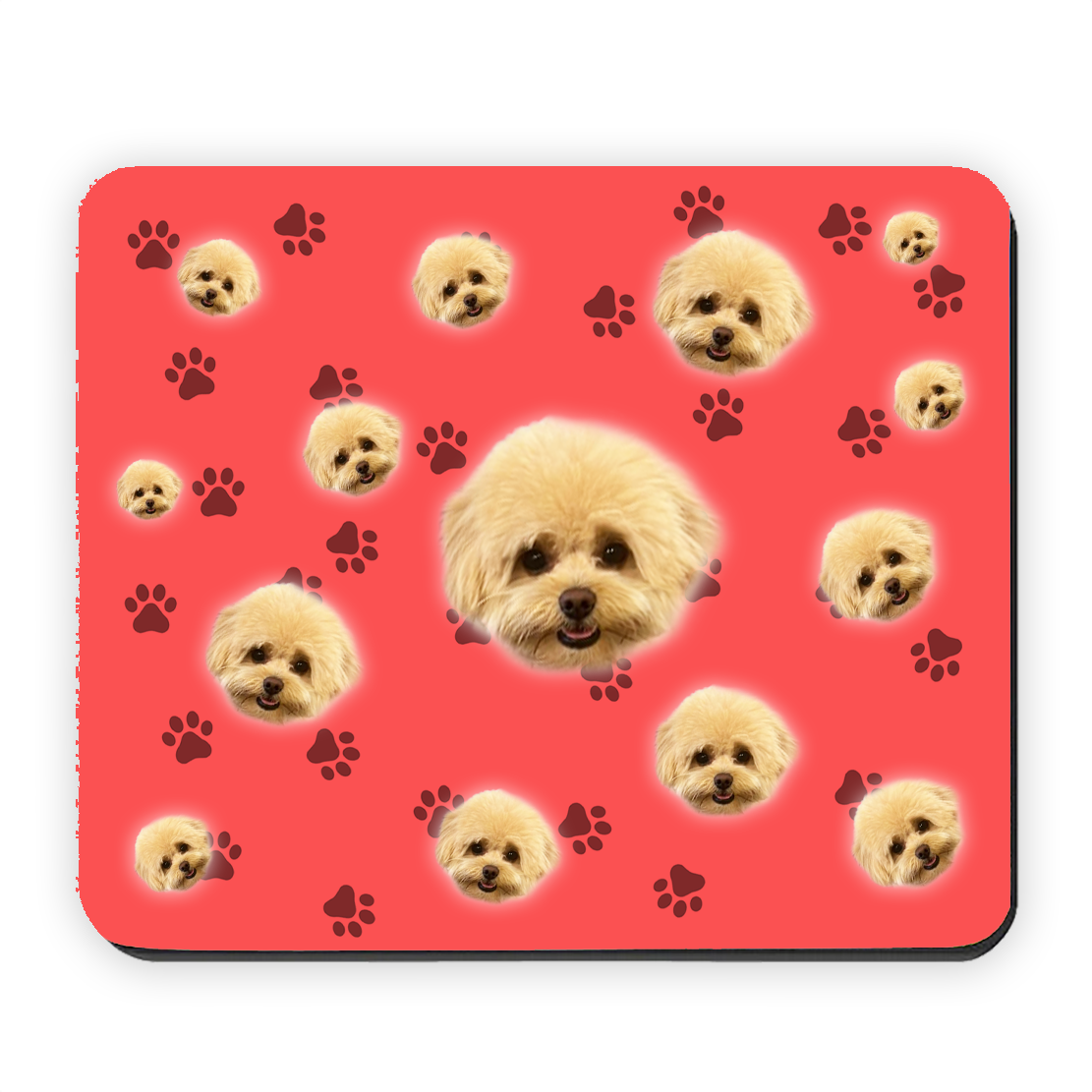 My dog on a Mouse Pad
