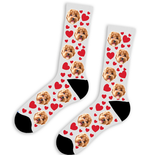 Dog with Hearts Socks